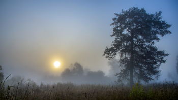 Туман м солнце / Осенние туманы