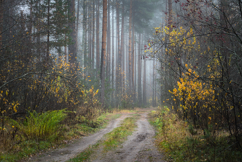 Остатки пиршества былого / Октябрьские зарисовки.