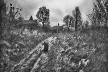 Жизнь вокруг / ***