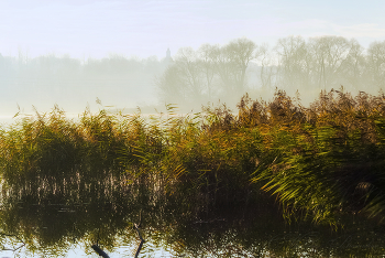 Последние краски осени / Сюжеты ноября