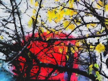 жердёла / ***