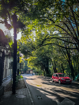 Южная улица / 2024 / Мобильная фотография / iPhone 13 Pro