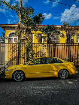 Жёлтый контраст / 2024 / Мобильная фотография / iPhone 13 Pro