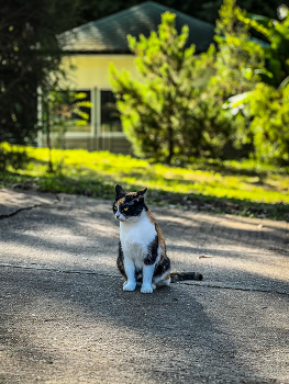 Хмурится / 2024 / Мобильная фотография / iPhone 13 Pro