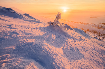 &nbsp; / Внимание!!! Поездку на кольский в ноябре переношу на неделю вперед с 22-по 29.11. Можете присоединиться. 2 места свободно. Можете присоединиться. Кандалакша, Кировск, Верхнетуломский

Следующей осенью на Ладожском озере будем ловить свет в Питкяранте. Собирайтесь :)
Напомню, что в 26-м на озеро Джека Лондона поеду весной на цветение Рододендрона, в конце июня. Группа набирается. Скоро настанет пора покупки авиабилетов. Пишите, звоните....
И, традиционно, осень на Джеке. Набор группы в самом разгаре
В 27-м году следующая поездка в Архангельскую область на золотую осень в клнце сентября. Программу буду увеличивать до двух недель. Т.к. очень много передвижений, просто не успеваем впитать в себя душевность этих мест. А очень хочется просто побродить и напиться вдоволь...

Следующая моя поездка в Момский НацПарк запланирована на конец августа 28-го года.
Пока готовлюсь к очередным путешествиям...На НГ в Ворзогоры могу взять ещё одного человека. Можно поехать в Кимжу в начале февраля. Анонсы на сайте phototourtravel.ru