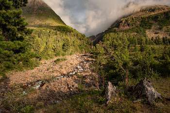 Горный ручей / Западные Саяны
