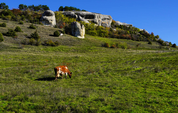 В ущелье Богаз_Сала / Крым, Бахчисарай, ущелье Богаз-Сала