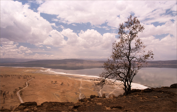 &nbsp; / Озеро Накуру. Кения.