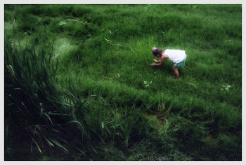 Случайно обнаружил в архиве / Как девочка ловит бабочку в зеленой ботве