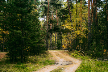 Солотча / Прогулка в Солотче (Рязань)