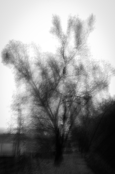 Осень наступила / Больше нет листов