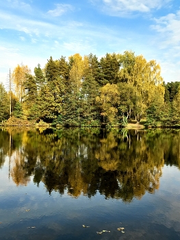 Тарелочкин пруд в Салтыковке (Московская область) / ***