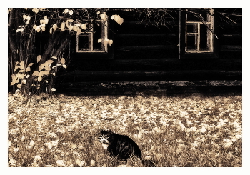 Падали листья / ***