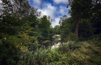 Под Крефельдом / ***