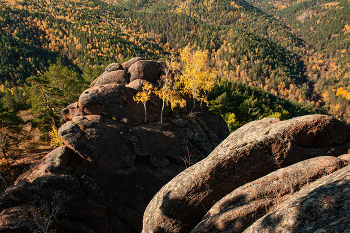 Осень / Красноярский заповедник &quot;Столбы&quot;