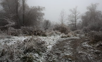 Скоро зима / ***