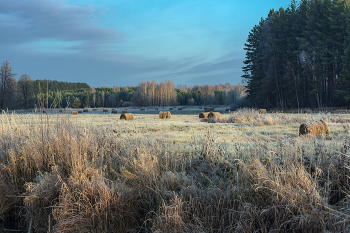 Маленькие радости поздней осени / В пойме р. Суворощь