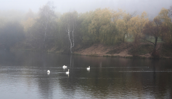 В тумане. / ***