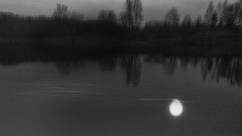 Жизнь вокруг / ***