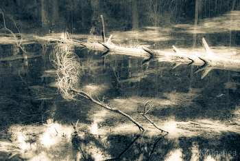 Абстракция озера / Абстракция озера