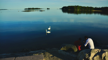 На закате... / Берег Финского залива. 
Вуосаари, Хельсинки.