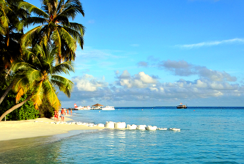 Высадились на остров / Высадились на остров