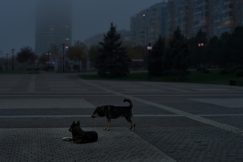 просыпается город и его обитатели / ***