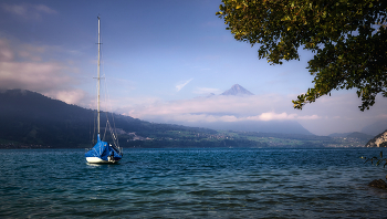 Тунское озеро, утро / Швейцария