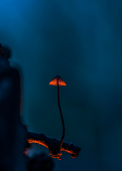 Одиночество / ***