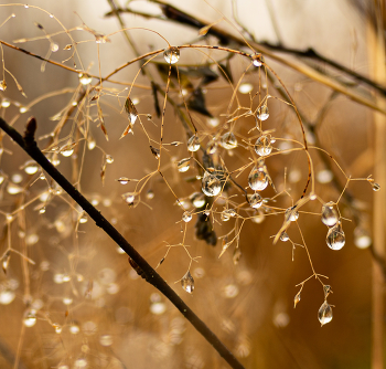 Ноябрьский хрусталь. / ***