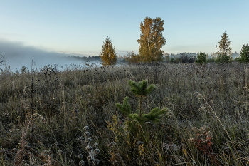 Про прошедшую осень / ***
