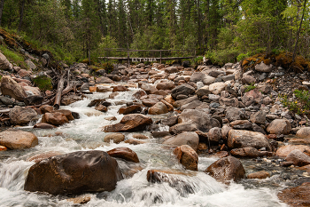 В долине реки Шумак / Республика Бурятия