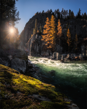 Стена Атлантов. / Скальный каньон на р. Коксу (приток Аргута)Алтай, протяженностью около 400 м.