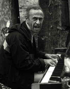 Рояль в кустах / ***