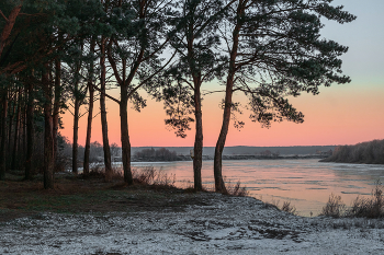 Левый берег Оки. / ***