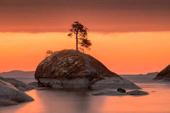 Кит в апельсинах II / Внимание!!! Поездку на кольский в ноябре переношу на неделю вперед с 22-по 30.11. Можете присоединиться. Осталось ОДНО место. Кандалакша, Кировск, Верхнетуломский

На фото Ладога , октябрь 2025

Следующая моя поездка в Момский НацПарк запланирована на конец августа 28-го года.
Напомню, что в 26-м на озеро Джека Лондона поеду весной на цветение Рододендрона, в конце июня. Группа набирается. Скоро настанет пора покупки авиабилетов. Пишите, звоните....
И, традиционно, осень на Джеке. Набор группы в самом разгаре
В 27-м году следующая поездка в Архангельскую область на золотую осень в конце сентября. Программу буду увеличивать до двух недель. Т.к. очень много передвижений, просто не успеваем впитать в себя душевность этих мест. А очень хочется просто побродить и напиться вдоволь...

Пока готовлюсь к очередным путешествиям...На НГ в Ворзогоры могу взять ещё одного человека. Можно поехать в Кимжу в начале февраля. Анонсы на сайте phototourtravel.ru
Подписывайтесь в MAX https://max.ru/u/f9LHodD0cOLOq7OZwTlN2lzsjKg3fxnzBwh4lQ5ht9zDTiYp8yWjD7FBZN0