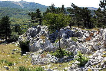 В горах / В горах