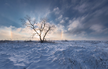 Морозное гало / ***