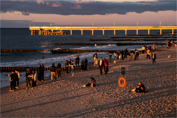 солнцепоклонники / ***