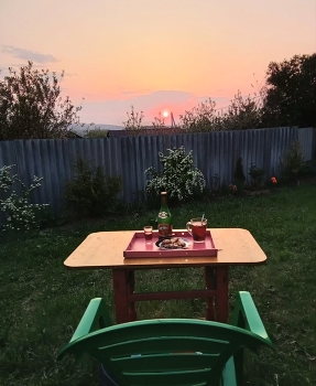 в саду на закате / проводы солнца
