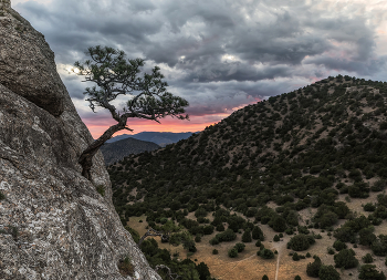 Сила жизни... / Сила жизни...