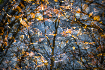 Ноябрь / Ноябрь