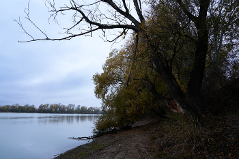 хмурое утро ноября / ***