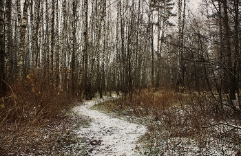Первый снег / Ноябрьский сюжет 2012год.