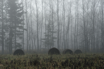 Осеннее прозябание / Всякая погода хороша
