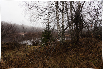 Жизнь вокруг / ***