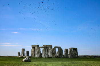 «Не оставить камня на камне» / чёрные лебеди