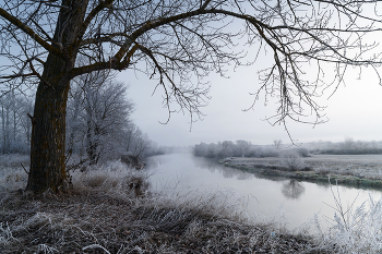 Первые заморозки / Первый морозец раскрасил всё вокруг...