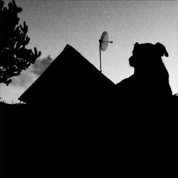 Жизнь вокруг / ***