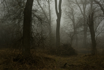 Хмурое утро / Весна